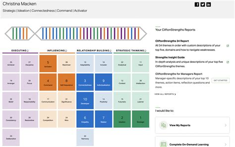 Understanding the CliftonStrengths™ Assessment: A .